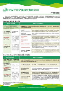 生命之美公司P1技術服務 以RNA為核心的高通量測序與深度功能挖掘